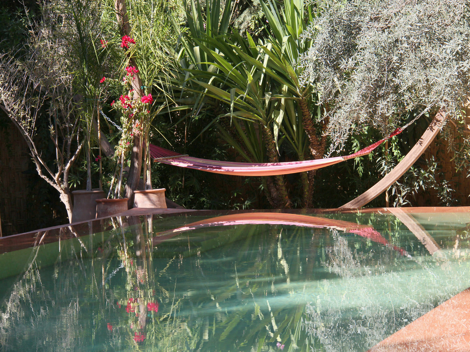 Le Jardin Touagana - Campement & Lodge Touggana Exteriér fotografie