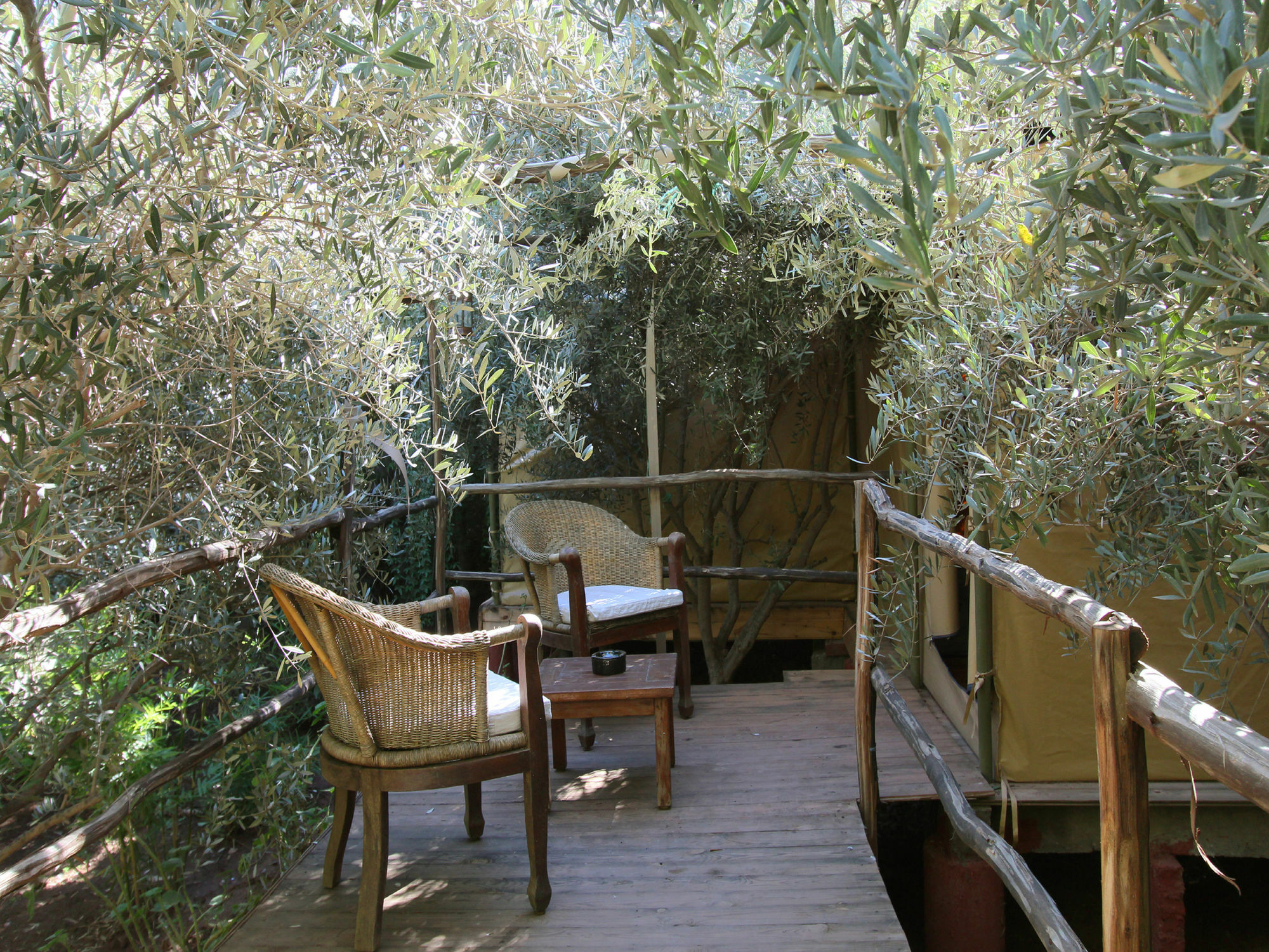 Le Jardin Touagana - Campement & Lodge Touggana Exteriér fotografie